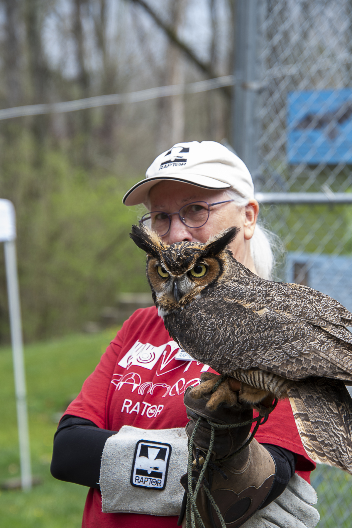 Woman with great-horned owl
